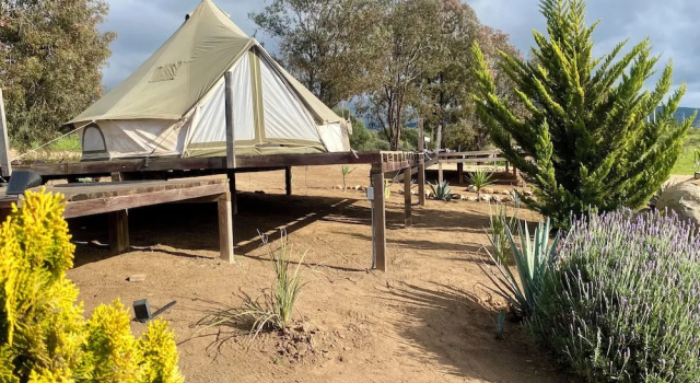 Cosmo Glamping, Rezervasyon Kamp Alanı Baja California kahvaltılı oteller, Kahvaltı