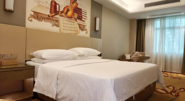 Люкс Vienna International Hotel (Haikou Old Town High-speed Railway Station)