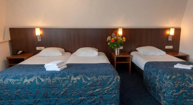 Семейный номер Standard Hampshire Hotel Petit Nord