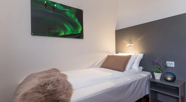 Номер Economy Enter Viking Apartment Hotel
