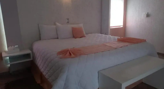 Suite Hotel Medrano Temáticas and Business Rooms Aguascalientes