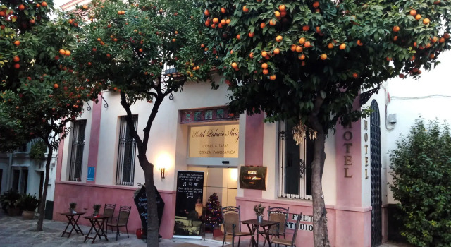 Hotel Palacio Alcazar
