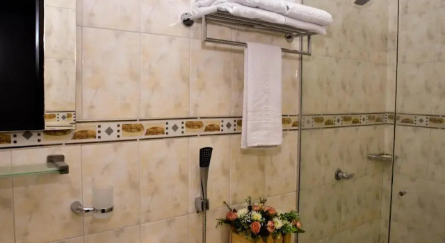 Двухместный номер Standard Hotel Prado Real