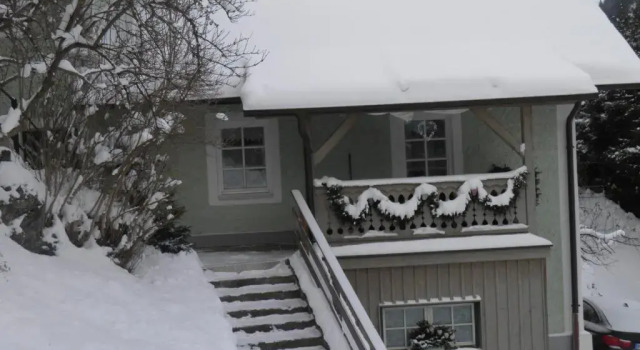 Ferienhaus Forsthof