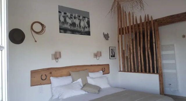 B&B Mas Fandelou, Book Bed and Breakfast Hoteller i Camargue med pool, Swimmingpool