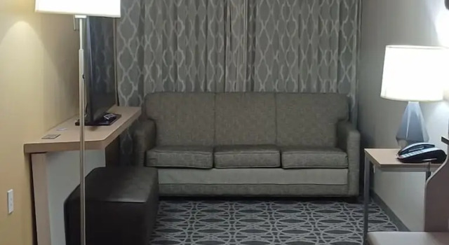 Двухместный люкс Holiday Inn - McAllen - Medical Center Area by IHG