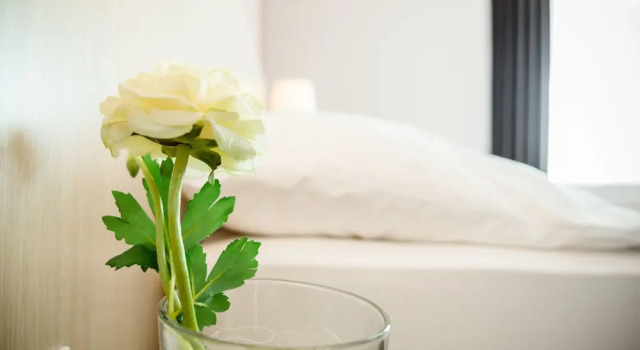 Одноместный номер Comfort Hotel Hilling