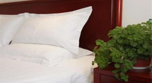 Номер Business GreenTree Inn Beijing Tongzhou Guoyuan XinHualian