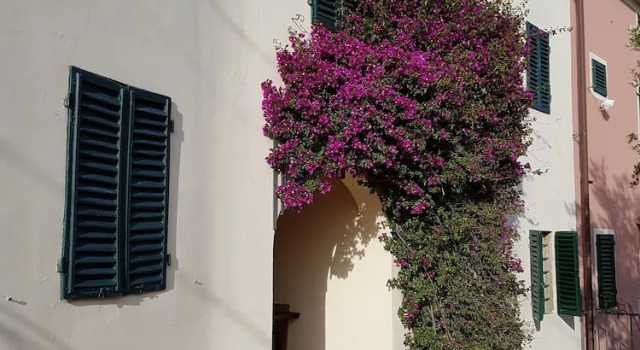 My Tuscany, Boek Hotel Lamporecchio Toscane