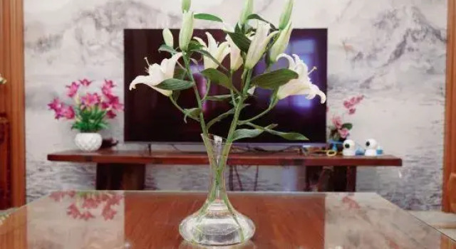 Wushe (Nanwan Monkey Island), Prenota Hotel Hotel a Hainan con parcheggio, Parcheggio
