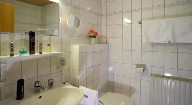 Двухместный номер Standard Hotel Alpenpanorama