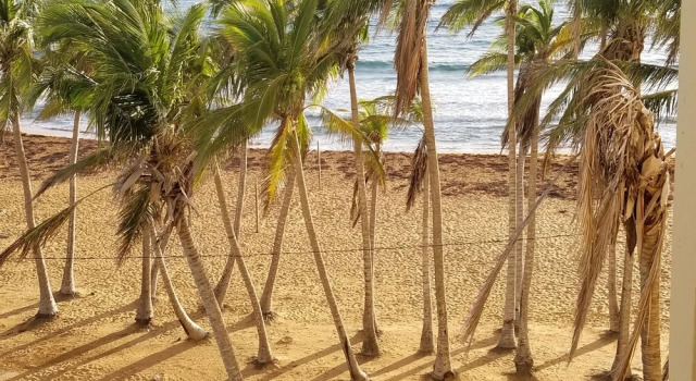 Standard Dreier Zimmer 3 Zimmer mit Balkon und am Strand Oceansound Suites