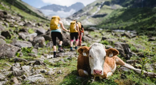 Ferienhaus Zimmereben, Prenota Hotel Hotel a Tirolo con parcheggio, Parcheggio