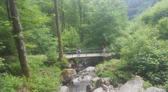 Appartement Rehblick, Prenota Appartamento Eisenbach Foresta Nera