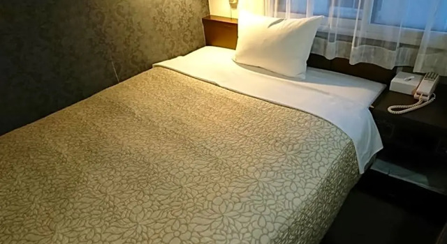 Toyohashi Station Hotel, Réserver Hôtel Toyohashi Aichi