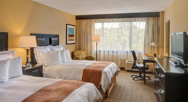 Четырёхместный номер Standard Radisson Hotel Freehold