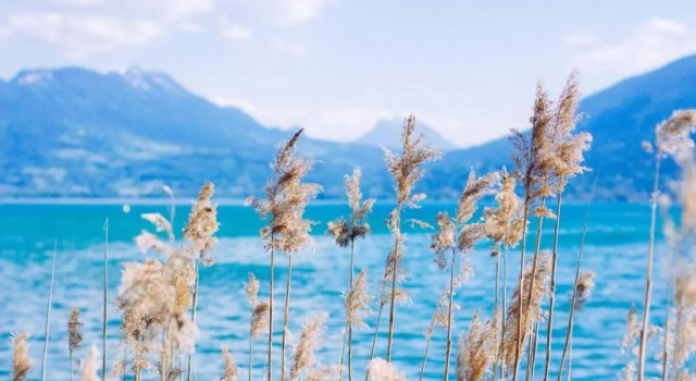 Апартаменты Le Bohème Beau T2 vue lac & montagnes + garage
