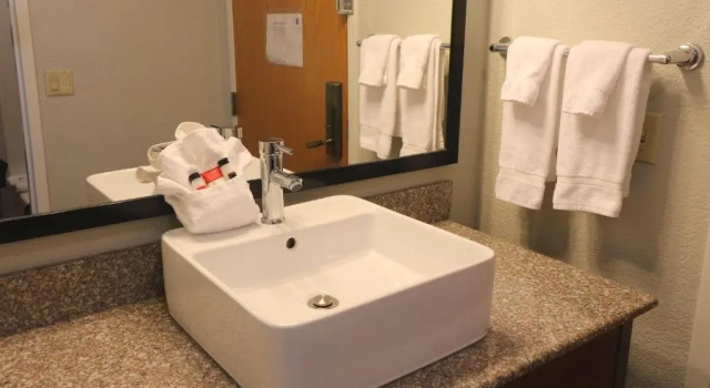 Номер Standard Garner Hotel Pigeon Forge Downtown by IHG