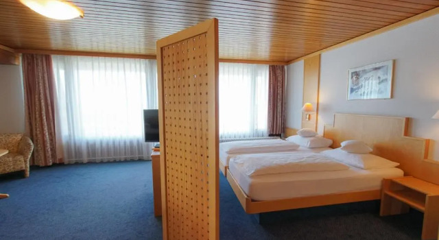 Двухместный номер Superior Hotel Stadt Breisach