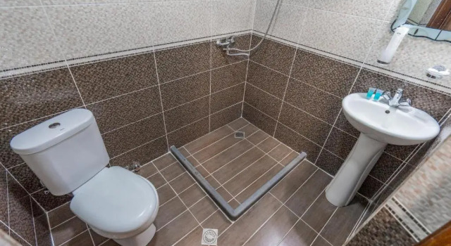 Номер Standard Отель Meskheti Palace