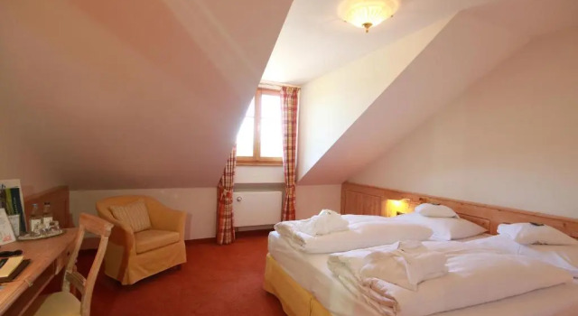 Номер Standard Hotel Gsteig