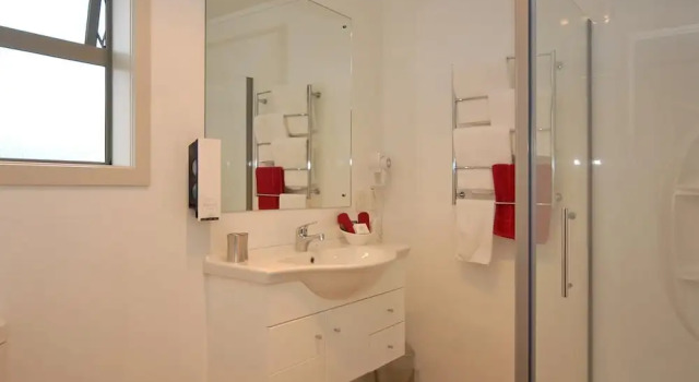 Одноместный люкс Omahu Motor Lodge