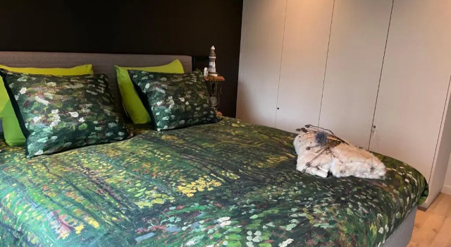 Luxueus nieuw zonnig hoekappartement SEAVIEW Heldenplein - 2x ruime garagebox