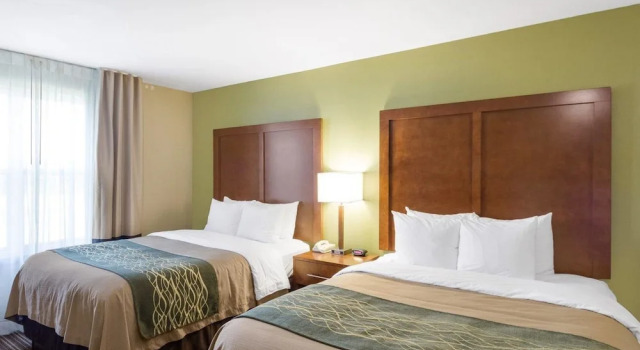 Люкс Comfort Inn & Suites Fayetteville-University Area