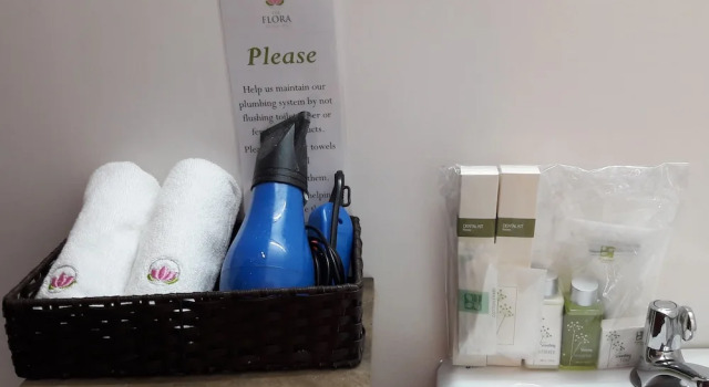 Двухместный номер Superior The Flora Boutique Hotel