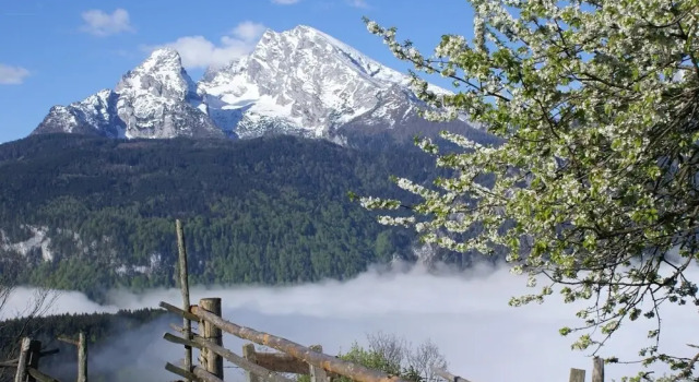 Апартаменты Traumhafte Wohnung im Berchtesgadener Land
