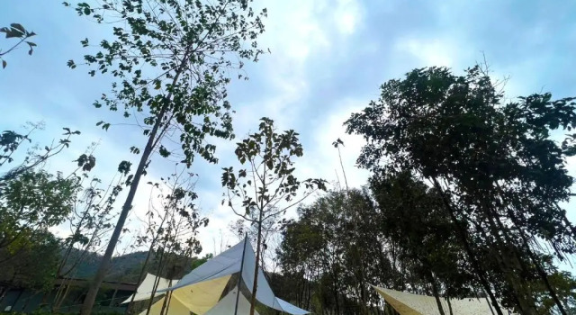 Номер Standard The Wild Khao Yai
