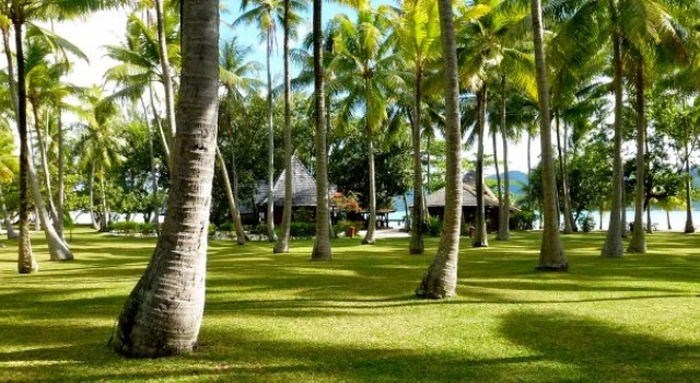 Vahine Island, Book Hotel Tahaa Fransk Polynesien