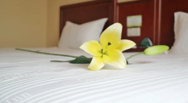 Двухместный номер Standard GreenTree Inn ShangHai ZhouPu Town XiuPu Road Business Hotel