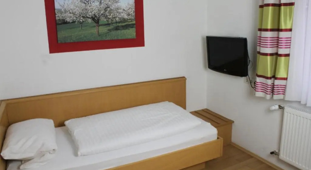 Номер Economy Gasthof Pension Zum goldenen Hirschen