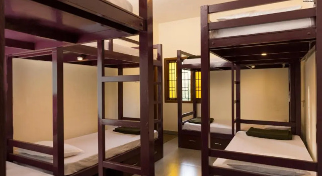 Кровать в общем номере Trippr Kodaikanal Backpacker Hostel