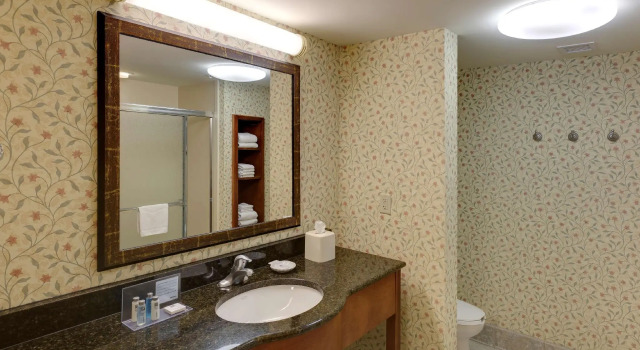Двухместная студия Hampton Inn & Suites Columbus Polaris