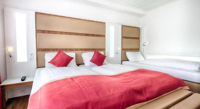 Трёхместный номер Standard Hotel Senator