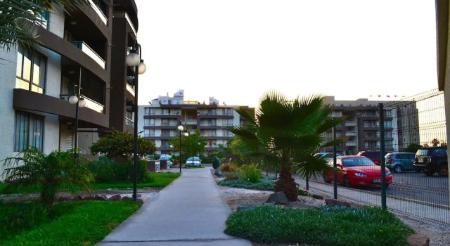 Apartamentos Alma Socoroma
