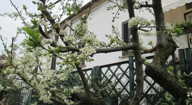 Dimora e Arte - Bed and Breakfast, Buchen Sie Hotel Canneto sull'Oglio Lombardei