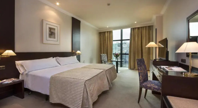 Standard Kahden hengen huone Tryp Oviedo Hotel