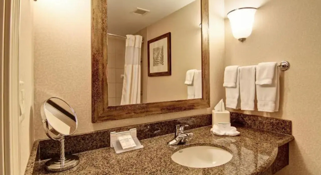 Люкс Hilton Garden Inn Seattle/Issaquah