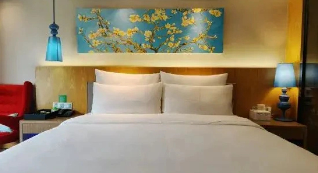 Люкс Domo Hotel
