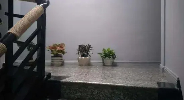 Liuwang Hotel, Prenota Hotel Wenzhou Zhejiang