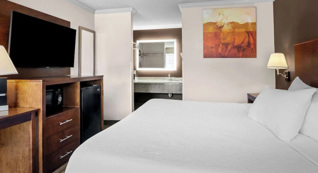 Люкс SureStay by Best Western Lakeview
