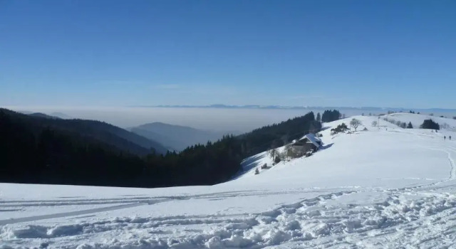 Шале Gite châlet nature haute vosges