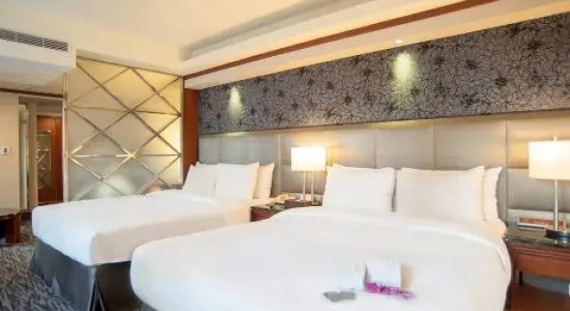 Deluxe cameră Hotel Dion
