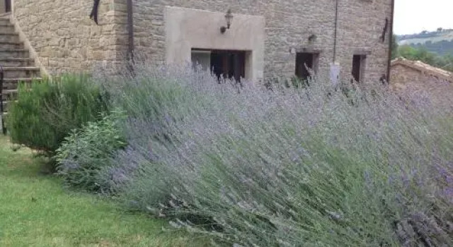 B&B Mulino Barchio, Book Bed and Breakfast  