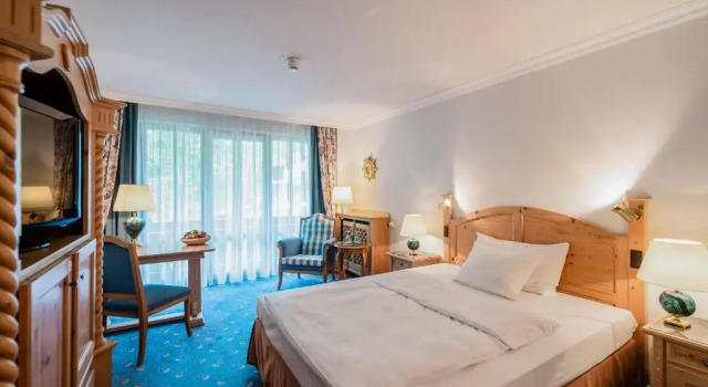 Одноместный номер Standard с видом на горы Arabella Alpenhotel am Spitzingsee, a Tribute Portfolio Hotel