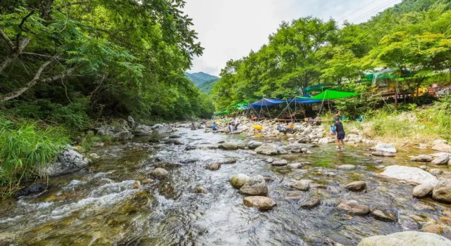 Ecopia Pension