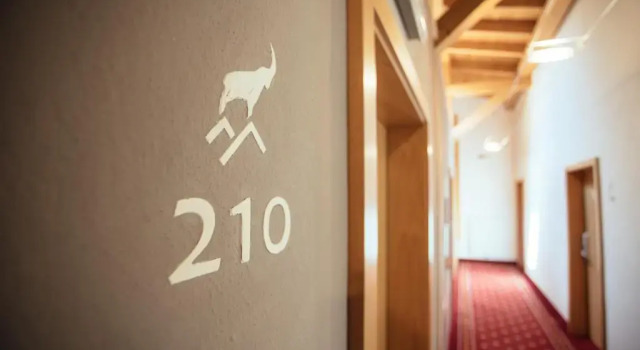 Номер Standard Hotel Wildschütz